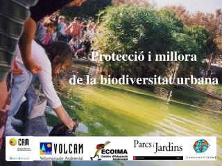 Protecció i millora de la biodiversitat urbana