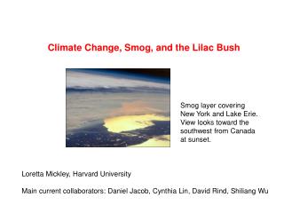 Climate Change, Smog, and the Lilac Bush