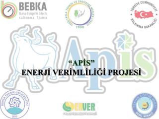 “APİS” ENERJİ VERİMLİLİĞİ PROJESİ