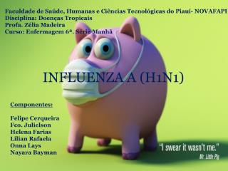 Faculdade de Saúde, Humanas e Ciências Tecnológicas do Piauí- NOVAFAPI