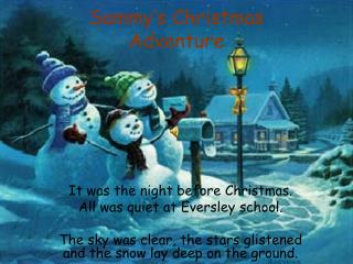 Sammy’s Christmas Adventure