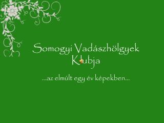 Somogyi Vadászhölgyek Klubja