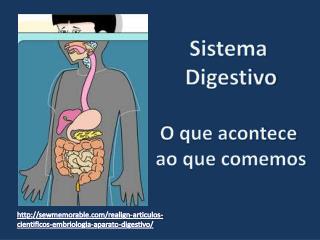 Sistema Digestivo O que acontece ao que comemos