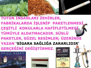 TÜTÜN İNSANLARI ZEHİRLER, FABRİKALARDA İŞLENİP PAKETLENMESİ, ÇEŞİTLİ KOKULARLA HAFİFLETİLMESİ