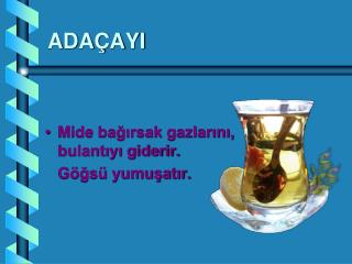 ADAÇAYI