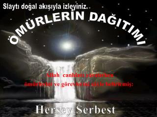 ÖMÜRLERİN DAĞITIMI