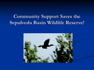Community Support Saves the Sepulveda Basin Wildlife Reserve!