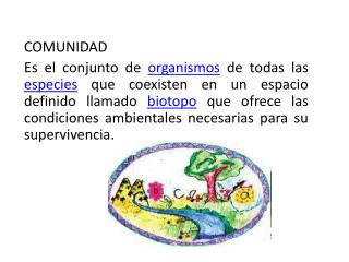 COMUNIDAD