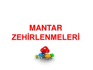 MANTAR ZEHİRLENMELERİ