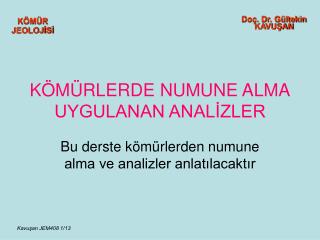 KÖMÜRLERDE NUMUNE ALMA UYGULANAN ANALİZLER