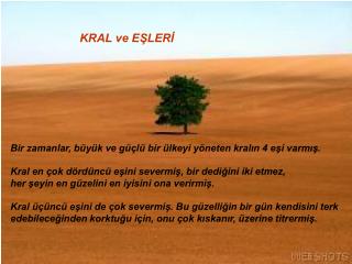 KRAL ve EŞLERİ