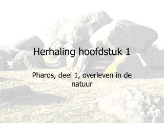 Herhaling hoofdstuk 1