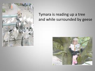 Tymara is reading up a tree and while surrounded by geese