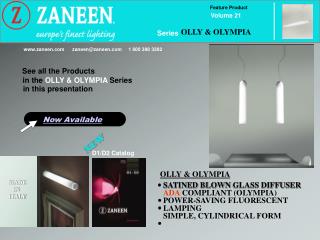 SATINED BLOWN GLASS DIFFUSER ADA COMPLIANT (OLYMPIA) POWER-SAVING FLUORESCENT LAMPING