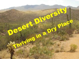 Desert Diversity