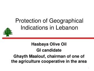 Protection of Geographical Indications in Lebanon