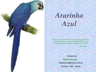 Ararinha Azul