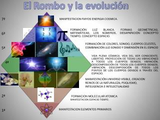 El Rombo y la evolución