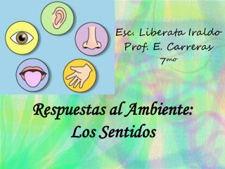 Respuestas al Ambiente: Los Sentidos