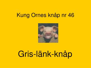 Kung Ornes knåp nr 46