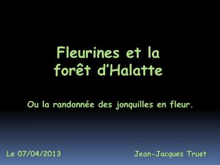 Fleurines et la forêt d’Halatte