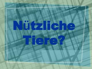 N ü tzliche Tiere?