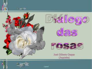 Diálogo das rosas