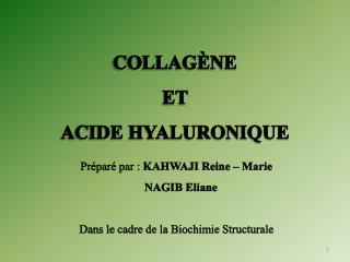 COLLAGÈNE ET ACIDE HYALURONIQUE