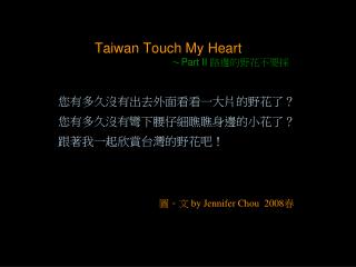 Taiwan Touch My Heart ～ Part II 路邊的野花不要採