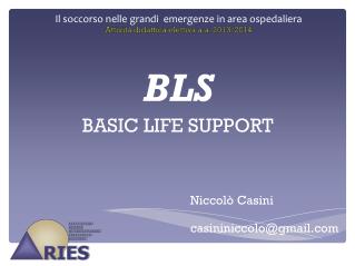 BLS BASIC LIFE SUPPORT