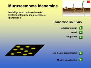 Muruseemnete idanemine