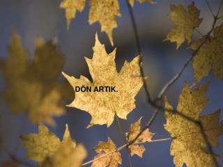 DÖN ARTIK.