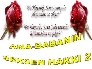 ANA-BABANIN SEKSEN HAKKI 2