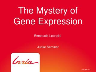The Mystery of Gene Expression