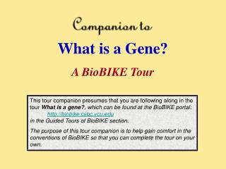 What is a Gene? A BioBIKE Tour