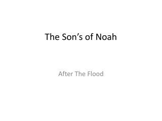 The Son’s of Noah