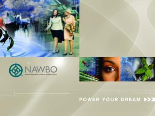 Using NAWBO Chapter Administrator Tools and Reports