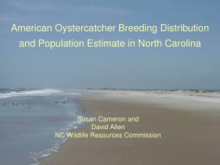 American Oystercatcher Breeding Distribution and Population Estimate in North Carolina