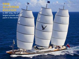 The Maltese Falcon is 289’ long, the 2 nd largest private sailing yacht in the world