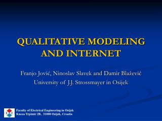 QUALITATIVE MODELING AND INTERNET