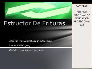 Estructor De Frituras