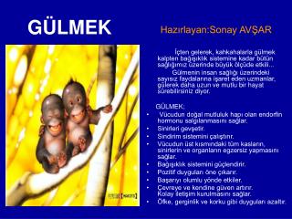GÜLMEK