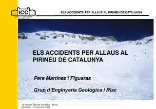 ELS ACCIDENTS PER ALLAUS AL PIRINEU DE CATALUNYA