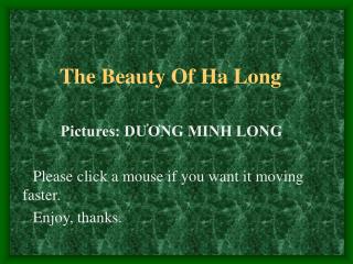 The Beauty Of Ha Long