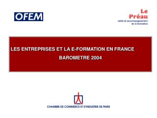 LES ENTREPRISES ET LA E-FORMATION EN FRANCE BAROMETRE 2004