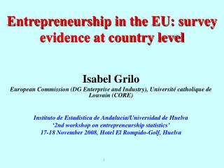 Entrepreneurship in the EU: survey evidence at country level