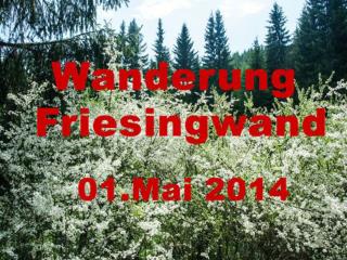 Web-Praesentation-2014-Wanderung-Friesingwand