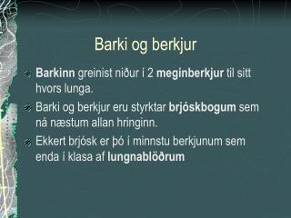 Barki og berkjur