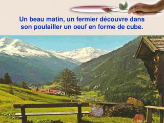 Un beau matin, un fermier découvre dans son poulailler un oeuf en forme de cube.