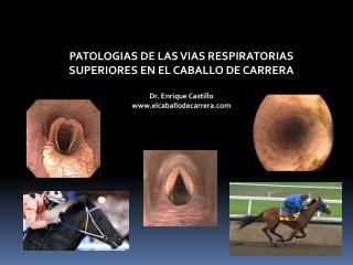 PATOLOGIAS DE LAS VIAS RESPIRATORIAS SUPERIORES EN EL CABALLO DE CARRERA Dr. Enrique Castillo